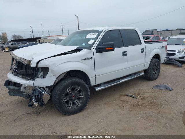 Photo 1 VIN: 1FTFW1EF3DKG32285 - FORD F-150 