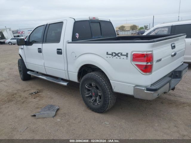 Photo 2 VIN: 1FTFW1EF3DKG32285 - FORD F-150 