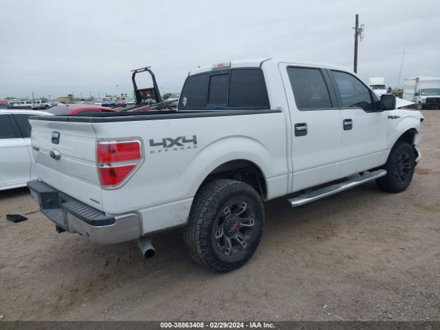 Photo 3 VIN: 1FTFW1EF3DKG32285 - FORD F-150 