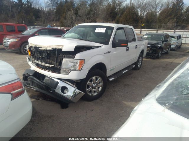 Photo 1 VIN: 1FTFW1EF3EFB57893 - FORD F-150 