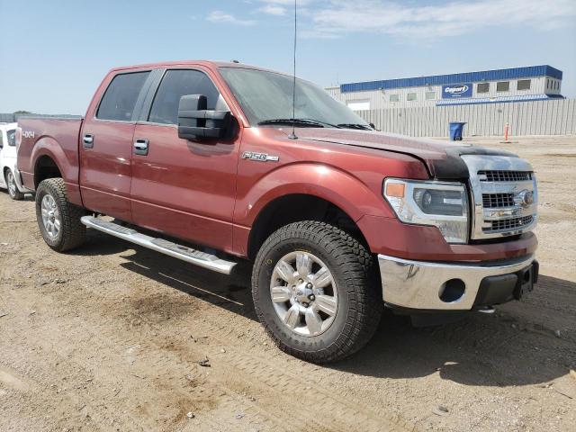 Photo 3 VIN: 1FTFW1EF3EKD05760 - FORD F-150 