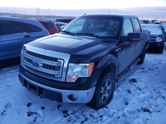 Photo 1 VIN: 1FTFW1EF3EKD32053 - FORD F150 SUPER 