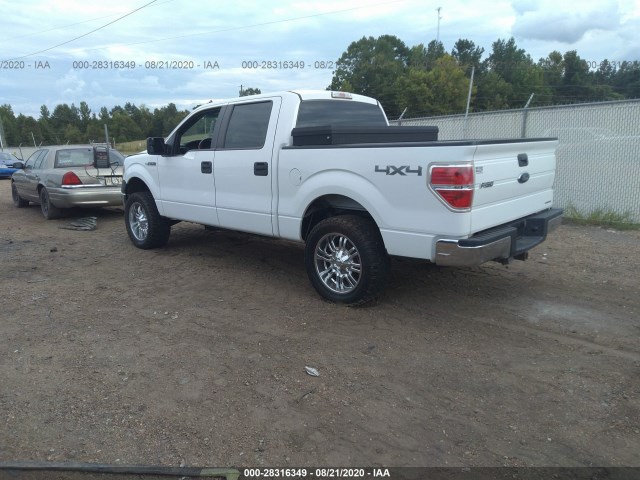 Photo 2 VIN: 1FTFW1EF3EKD83262 - FORD F-150 