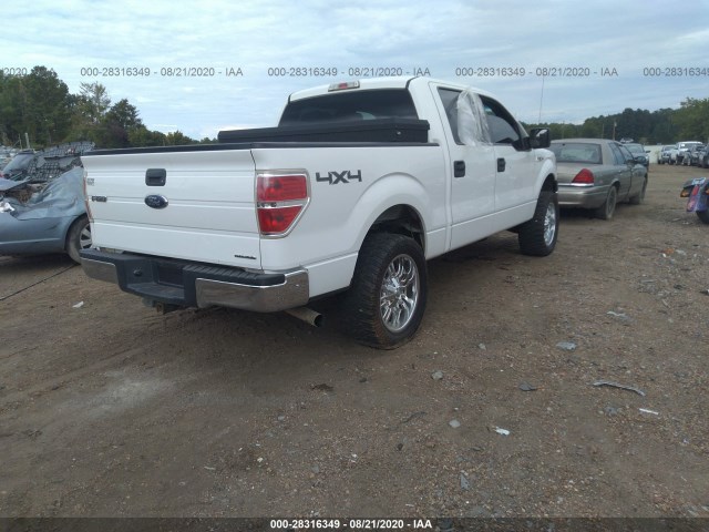 Photo 3 VIN: 1FTFW1EF3EKD83262 - FORD F-150 