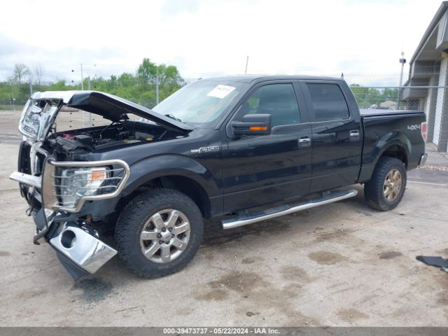 Photo 1 VIN: 1FTFW1EF3EKE18236 - FORD F-150 