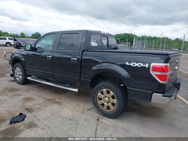 Photo 2 VIN: 1FTFW1EF3EKE18236 - FORD F-150 