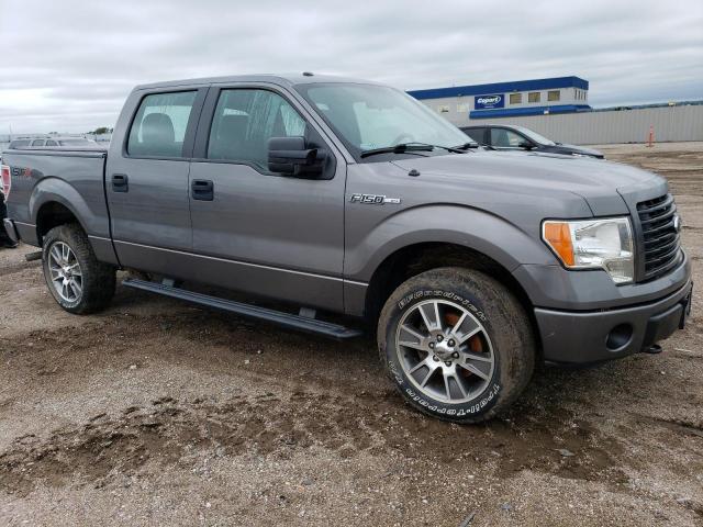 Photo 3 VIN: 1FTFW1EF3EKF07479 - FORD F-150 