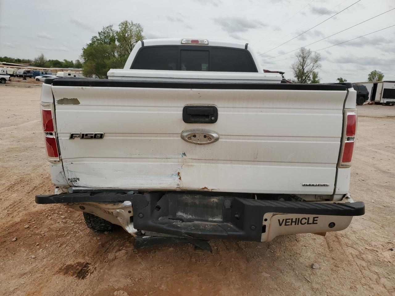 Photo 5 VIN: 1FTFW1EF3EKF11435 - FORD F-150 