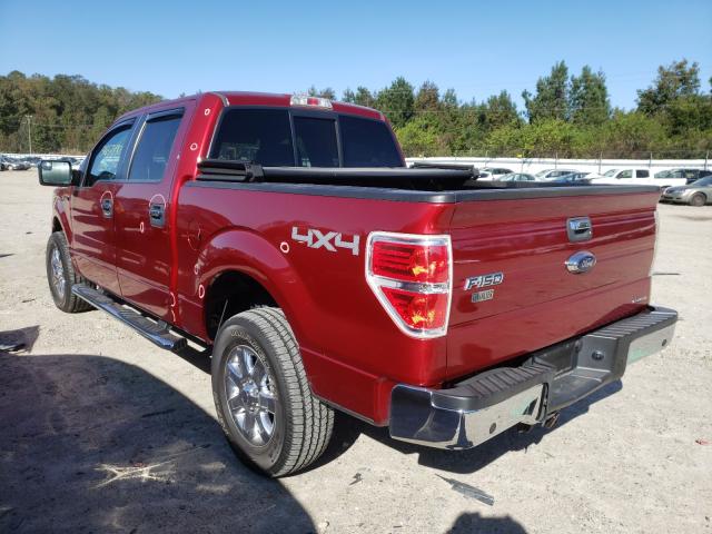 Photo 2 VIN: 1FTFW1EF3EKF52678 - FORD F150 SUPER 