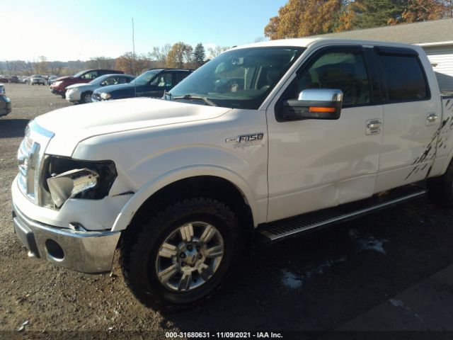 Photo 5 VIN: 1FTFW1EF4BFB53685 - FORD F-150 