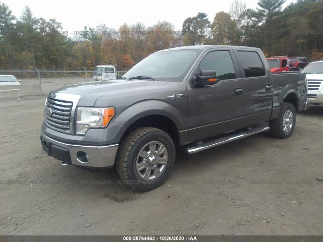 Photo 1 VIN: 1FTFW1EF4BFB74522 - FORD F-150 