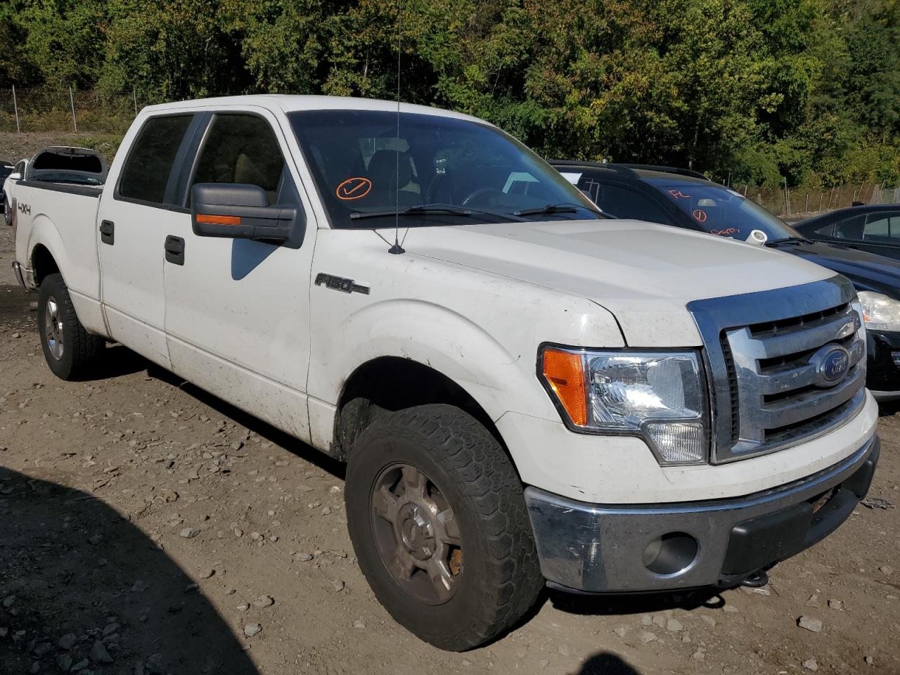 Photo 3 VIN: 1FTFW1EF4BFD20563 - FORD F-150 