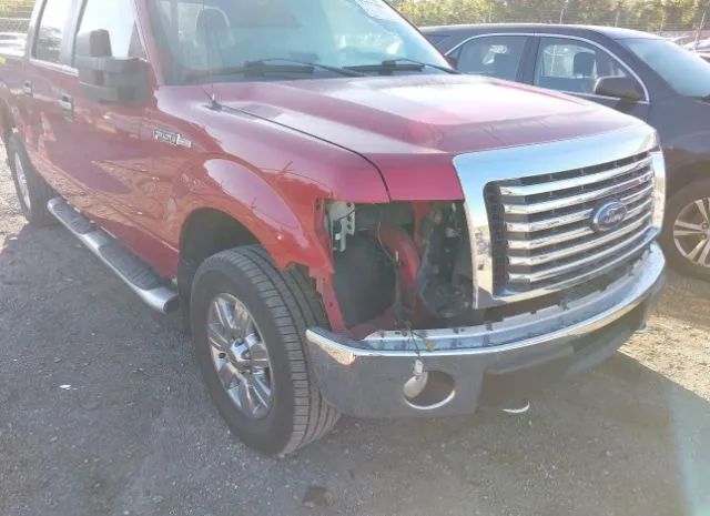 Photo 5 VIN: 1FTFW1EF4BKD25074 - FORD F150 