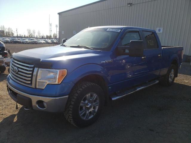 Photo 1 VIN: 1FTFW1EF4CFA75510 - FORD F150 SUPER 