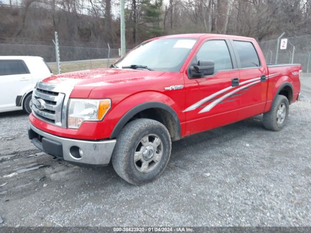 Photo 1 VIN: 1FTFW1EF4CFB36306 - FORD F-150 