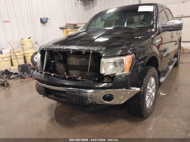 Photo 5 VIN: 1FTFW1EF4CFC75304 - FORD F-150 