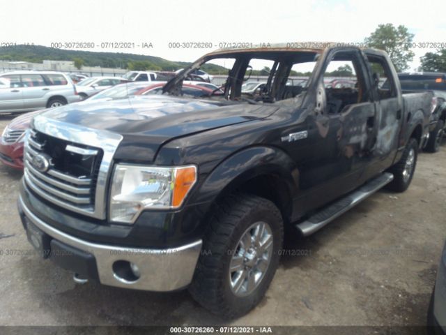 Photo 1 VIN: 1FTFW1EF4CKD70257 - FORD F-150 