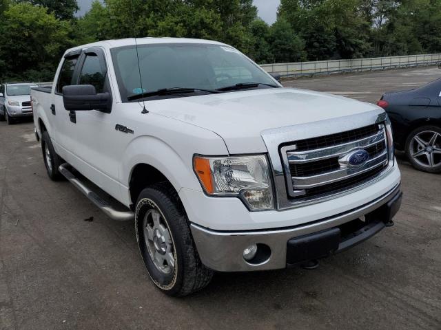 Photo 0 VIN: 1FTFW1EF4DFA80434 - FORD F150 SUPER 