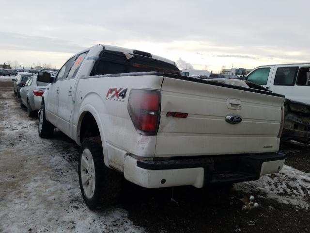 Photo 2 VIN: 1FTFW1EF4DFA95371 - FORD F150 SUPER 