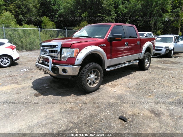 Photo 1 VIN: 1FTFW1EF4DFC62120 - FORD F-150 