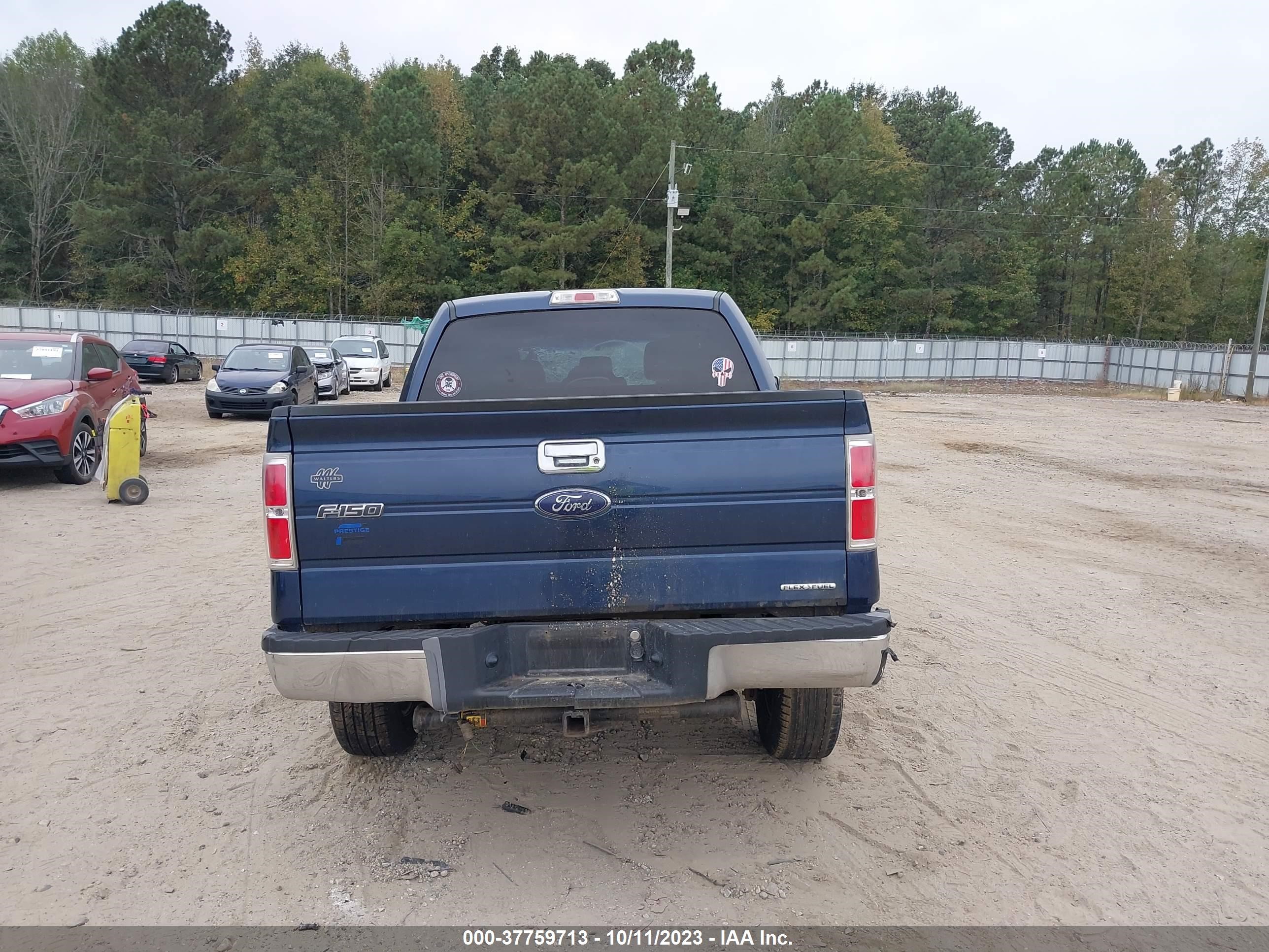 Photo 14 VIN: 1FTFW1EF4DFD43621 - FORD F-150 