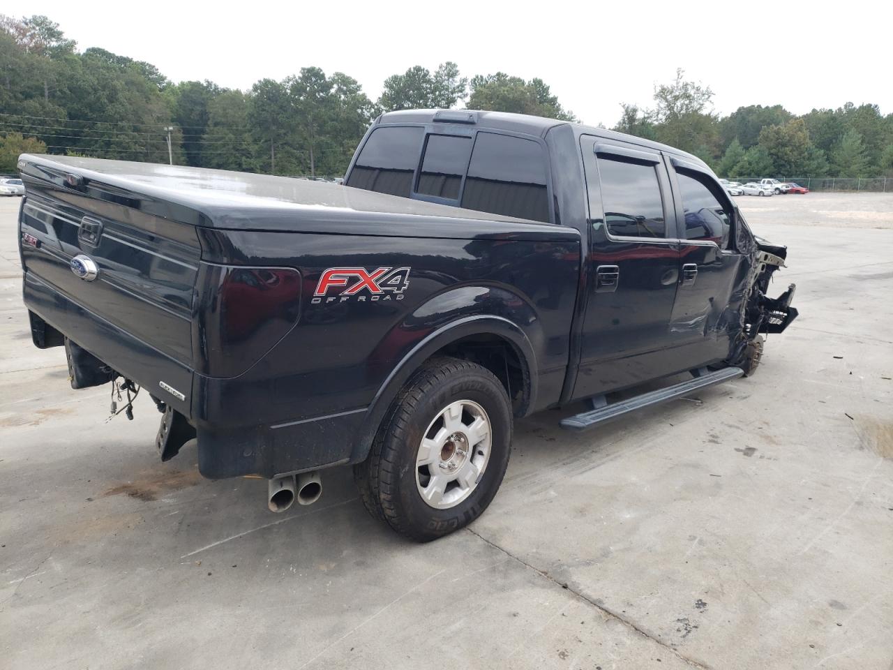 Photo 2 VIN: 1FTFW1EF4DFE06622 - FORD F-150 