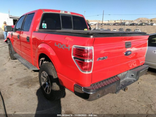 Photo 2 VIN: 1FTFW1EF4DKD11081 - FORD F-150 