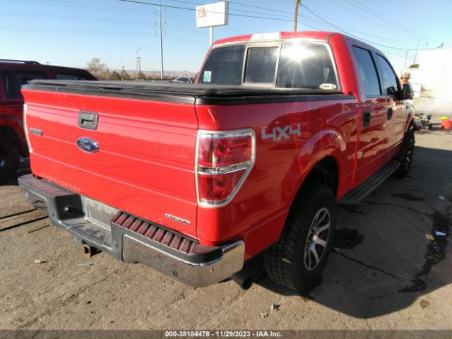 Photo 3 VIN: 1FTFW1EF4DKD11081 - FORD F-150 