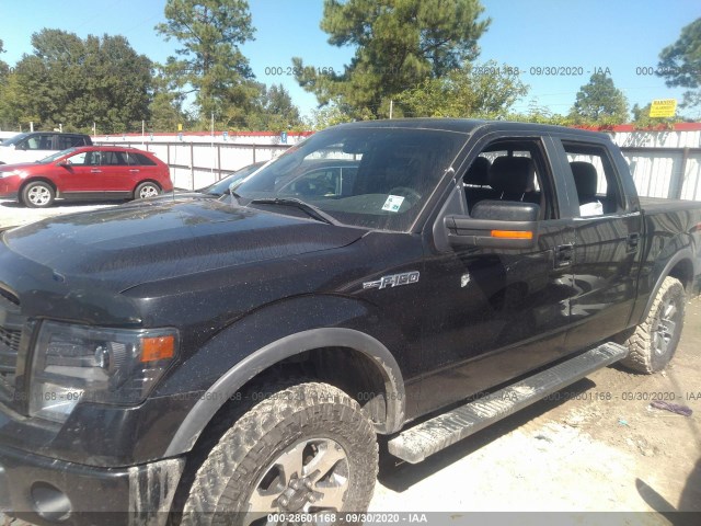 Photo 5 VIN: 1FTFW1EF4DKD36255 - FORD F-150 