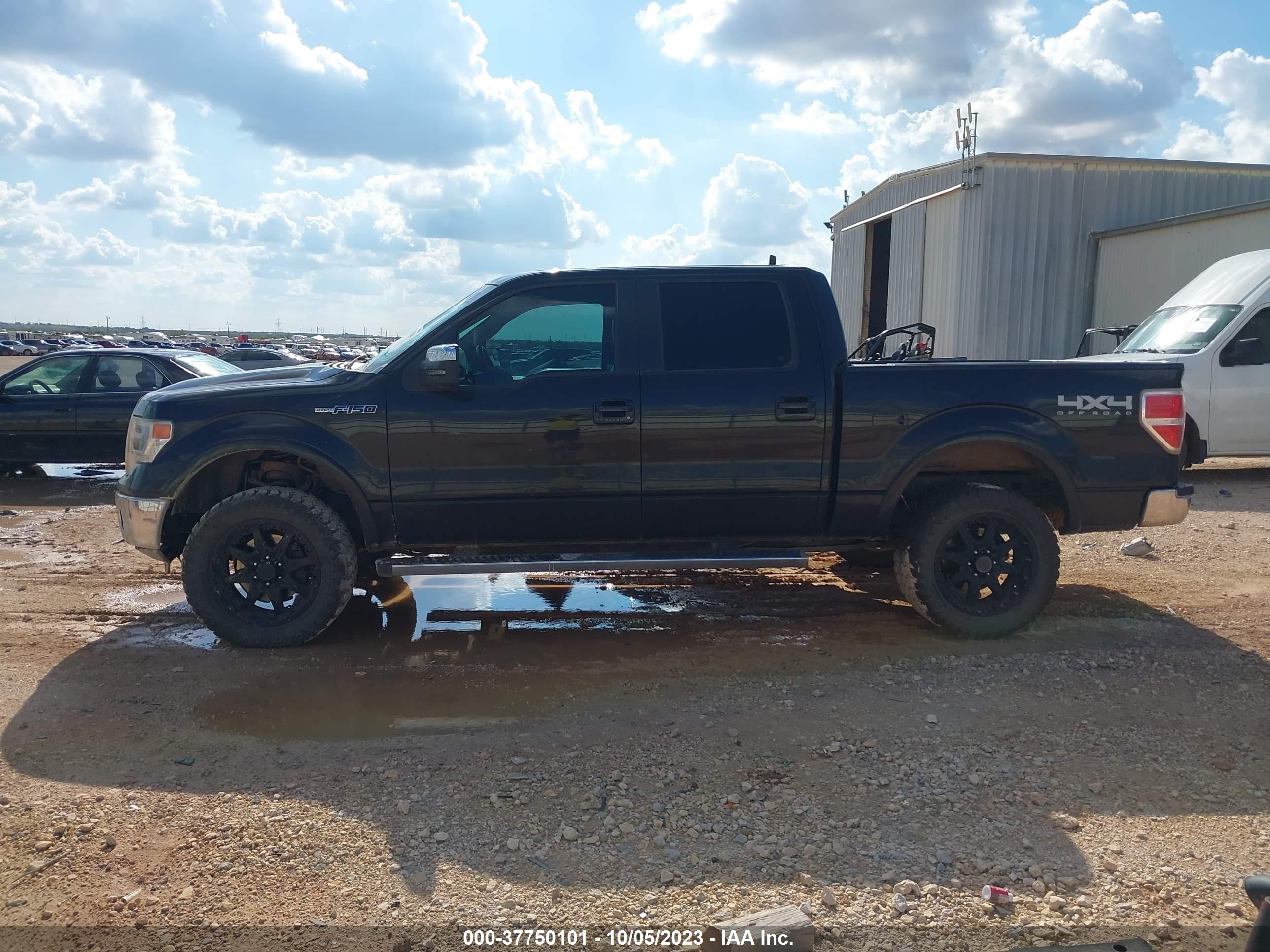 Photo 13 VIN: 1FTFW1EF4DKD79123 - FORD F-150 