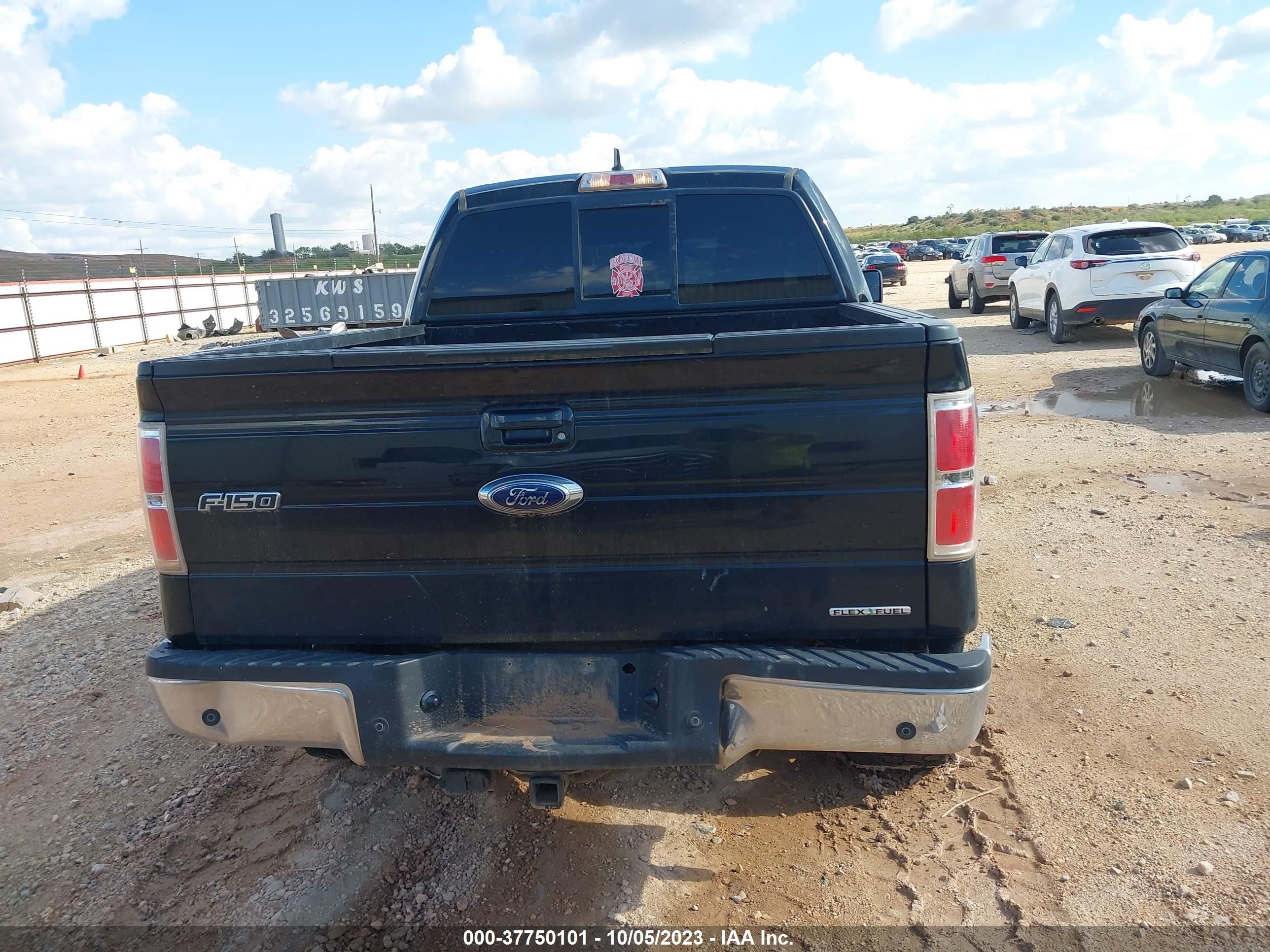 Photo 15 VIN: 1FTFW1EF4DKD79123 - FORD F-150 