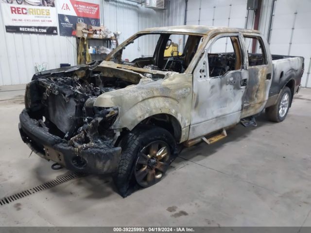 Photo 1 VIN: 1FTFW1EF4DKE34220 - FORD F-150 