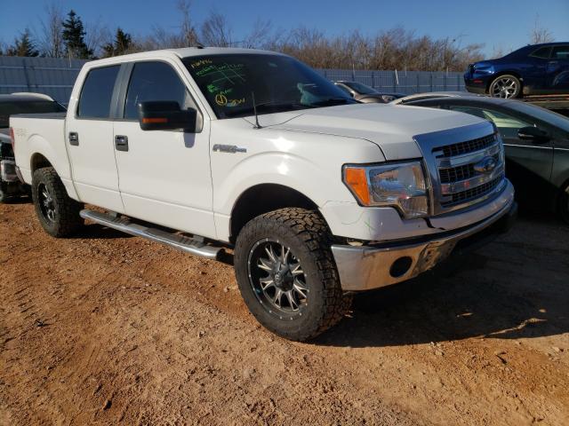 Photo 0 VIN: 1FTFW1EF4DKF31496 - FORD F150 SUPER 