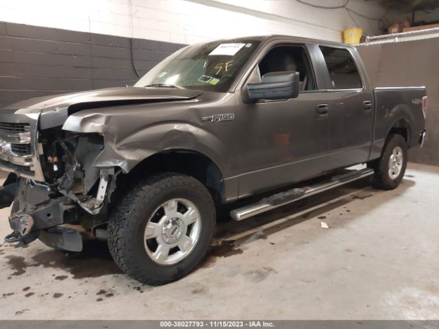 Photo 1 VIN: 1FTFW1EF4DKF80729 - FORD F-150 