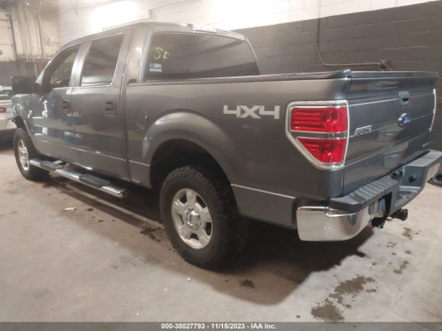 Photo 2 VIN: 1FTFW1EF4DKF80729 - FORD F-150 