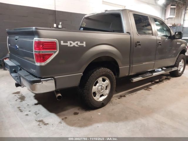 Photo 3 VIN: 1FTFW1EF4DKF80729 - FORD F-150 