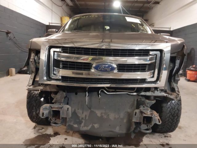 Photo 5 VIN: 1FTFW1EF4DKF80729 - FORD F-150 