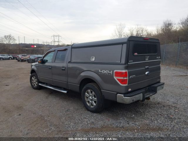 Photo 2 VIN: 1FTFW1EF4DKG01868 - FORD F-150 