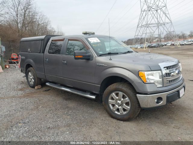 Photo 5 VIN: 1FTFW1EF4DKG01868 - FORD F-150 