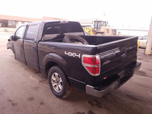 Photo 2 VIN: 1FTFW1EF4EFC79081 - FORD F150 SUPER 