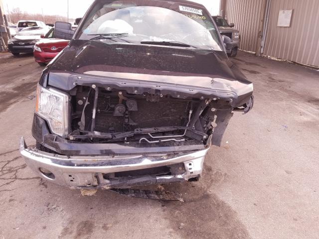 Photo 9 VIN: 1FTFW1EF4EFC79081 - FORD F150 SUPER 