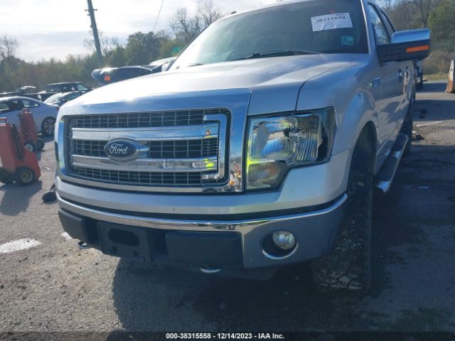 Photo 5 VIN: 1FTFW1EF4EKE77148 - FORD F-150 