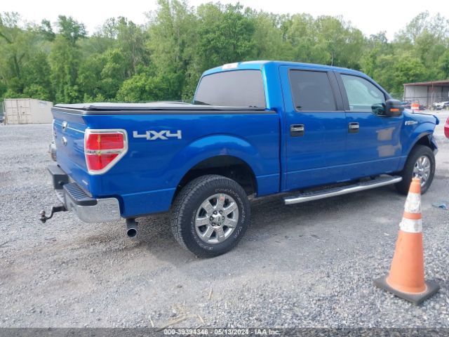 Photo 3 VIN: 1FTFW1EF4EKF60255 - FORD F150 