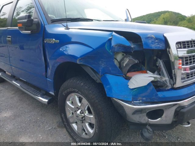 Photo 5 VIN: 1FTFW1EF4EKF60255 - FORD F150 