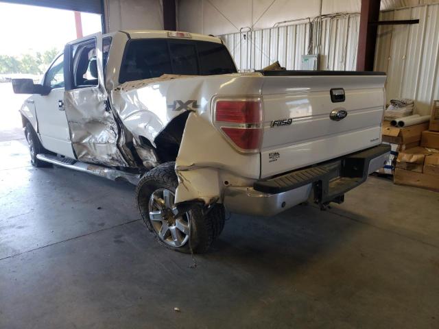 Photo 2 VIN: 1FTFW1EF4EKF92834 - FORD F150 SUPER 