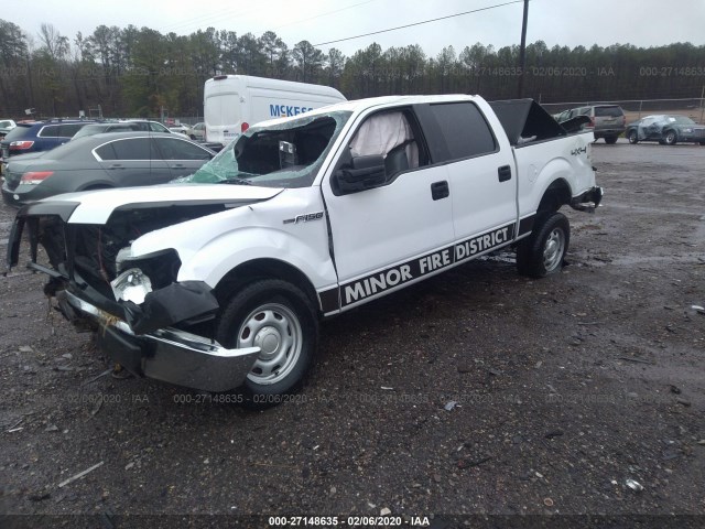 Photo 1 VIN: 1FTFW1EF4EKG34869 - FORD F-150 