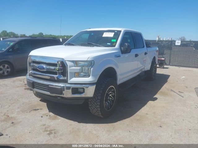 Photo 1 VIN: 1FTFW1EF4FKD32077 - FORD F150 