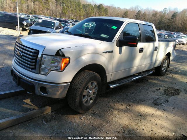 Photo 1 VIN: 1FTFW1EF5BFA97353 - FORD F-150 