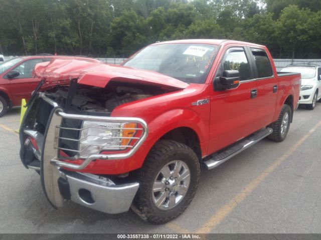 Photo 1 VIN: 1FTFW1EF5BFC38308 - FORD F-150 