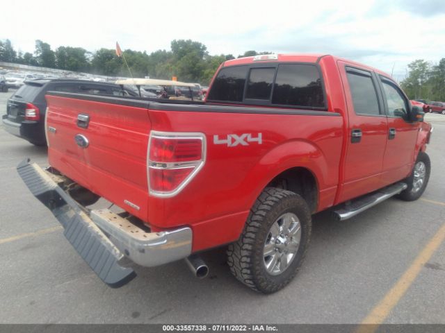 Photo 3 VIN: 1FTFW1EF5BFC38308 - FORD F-150 